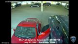 एक आदमी चुपचाप एक पार्किंग स्थल में उत्प्रेरक कन्वर्टर्स चुरा लेता है (संयुक्त राज्य अमेरिका)