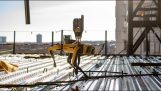 The spot robot on construction sites