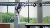 Atlas robots do parkour
