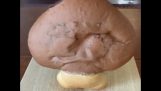 A “Goomba” pâine