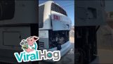 A guy bought this bus for $16 from an auction