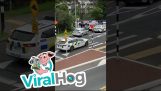 Policajná honba na Novom Zélande
