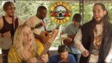 Pistoler och rosor – Don't Cry bluegrass -omslag