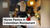 Конное шоу в колумбийском ресторане (Fail)