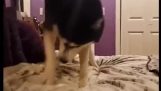 Hond schrikt van zijn staart