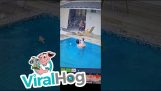 Papa redt zijn baby uit het zwembad