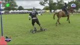 Horse Boarding is a real sport
