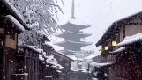 Snowfall in Kyoto in reverse…
