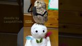 Apelul telefonic important al lui Owl
