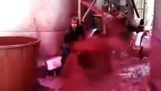 Wine leak in Sicily