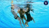 Nadadora Anita Alvarez salva por seu treinador
