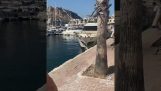 En båt treffer en vegg og deretter en pongtong i havnen i Alicante