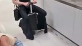 Electric cart suitcase