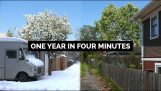 Преобразуване на алея за една година