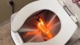 Toilet that flushes with fire