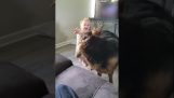 Baby plays with a dog