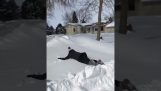 Saltar en la nieve falla