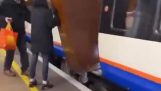 Transportarea unui dulap într-un tren