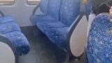オーストラリアの列車の座席