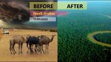The arid desert turns into a green oasis in Saudi Arabia