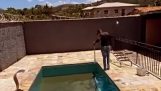 Reiniging van de bodem van het zwembad