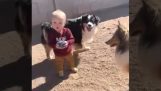 A baby plays with dogs for the first time