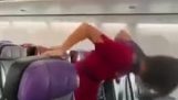 Utalentowana stewardessa