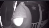 Guy forgot about his friend’s doorbell camera