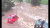 在圖文巴，澳大利亞的洪水