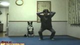 Pas je gimnastika