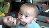 Das Baby spielt Mundharmonika 