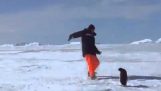 El ataque de pingüino!