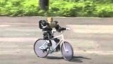 A robotok, hogy a kerékpározás