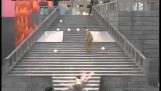 Японского игрового шоу: Лестницы