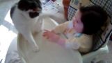 बच्चे बिल्ली थप्पड़ मारा