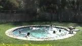 De samenvouwbare zwembad