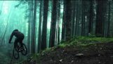 Ciclismo de montaña en el bosque