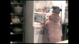 A hűtőszekrény RAID