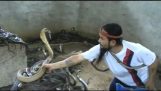 No poço com Cobras