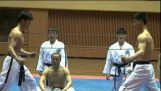 Démonstration d'arts martiaux en b. Corée