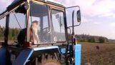 Landbruk i Russland