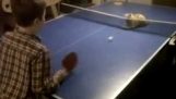 Mačka igraju ping pong