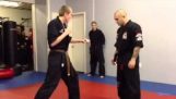 Martial arts: The move "Gangnam Style"