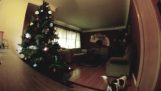 Μόνος στο σπίτι τα Χριστούγεννα