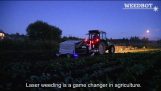 Fremtiden for landbruget lavet i Letland