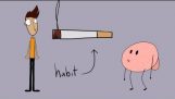 A força do hábito