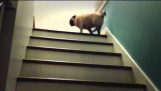 En PAG klatrer trappen
