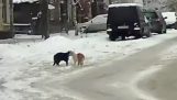 Μονομαχία στον χιονισμένο δρόμο
