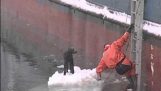 Spašavanje psa zarobljen u ledeni breg