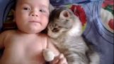 החתול ואת התינוק